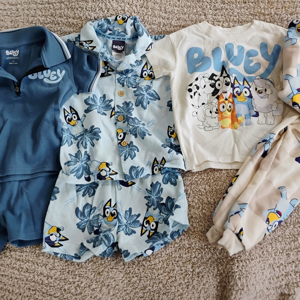 Bluey Kids Matching Sets Bundle 2T